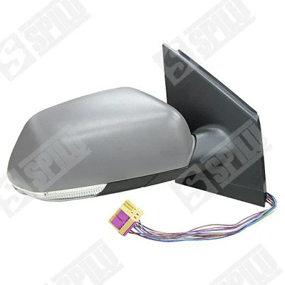 Exterior Mirror (54780)