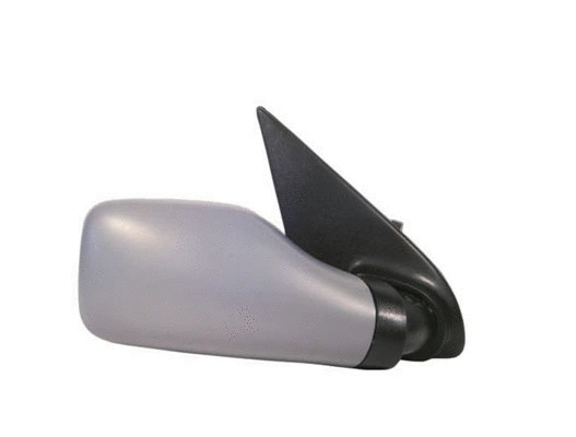 Exterior Mirror (53830)