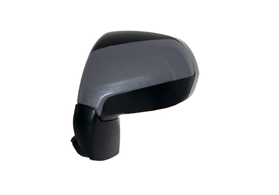 Exterior Mirror (55473)