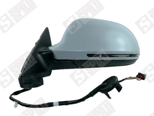 Exterior Mirror (55021)