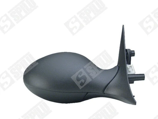 Exterior Mirror (50110)