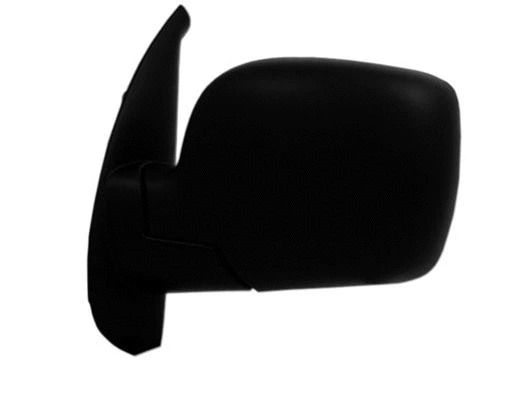 Exterior Mirror (55217)