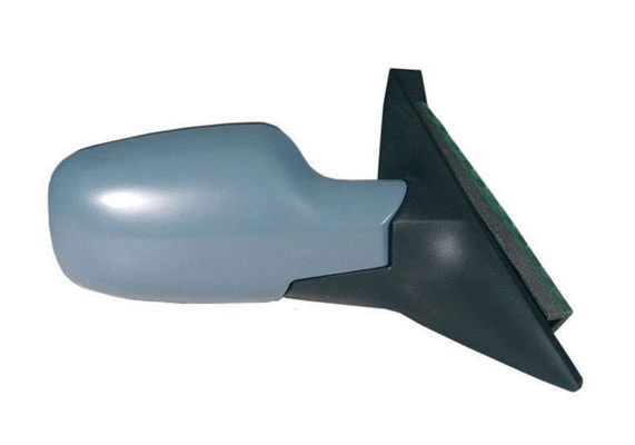 Exterior Mirror (54302)