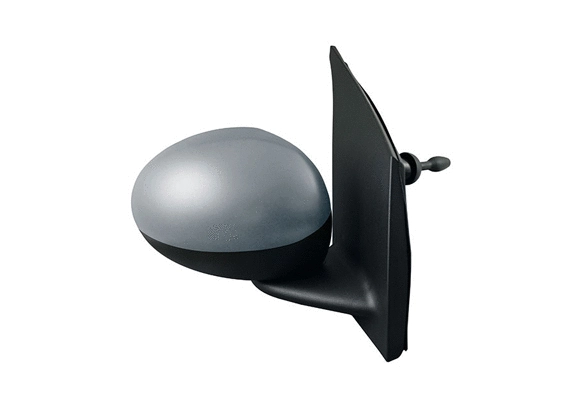 Exterior Mirror (54544)