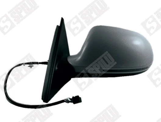 Exterior Mirror (55009)