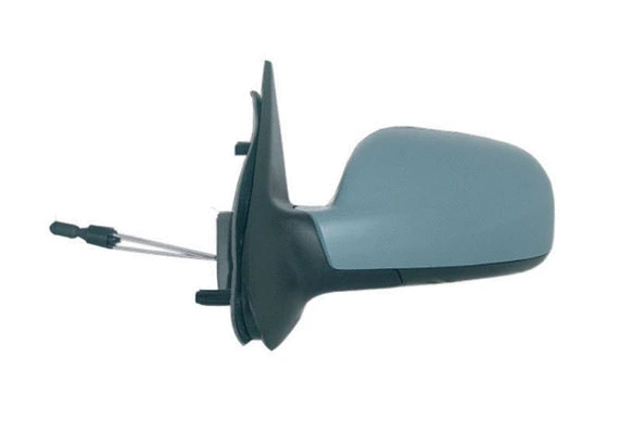 Exterior Mirror (54547)