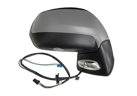 Exterior Mirror (55406)
