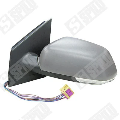 Exterior Mirror (54779)
