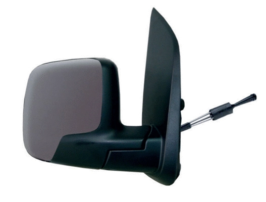 Exterior Mirror (55434)