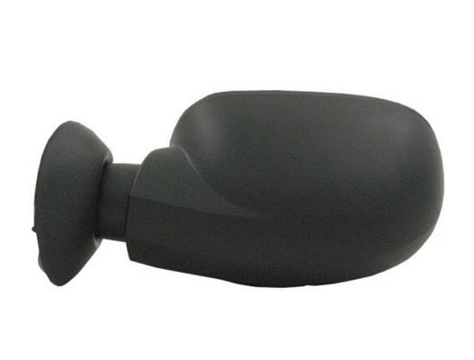 Exterior Mirror (54393)