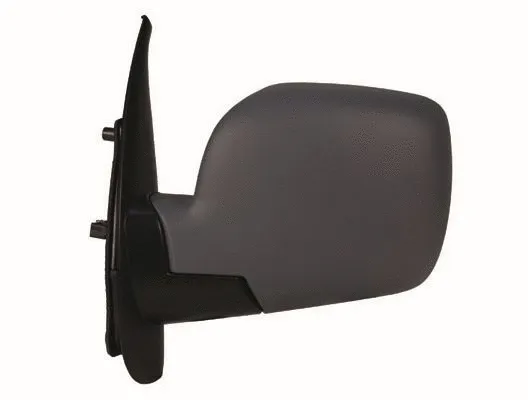 Exterior Mirror (55219)