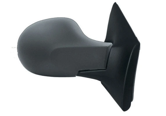 Exterior Mirror (55242)