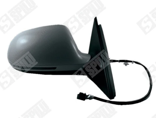 Exterior Mirror (55010)