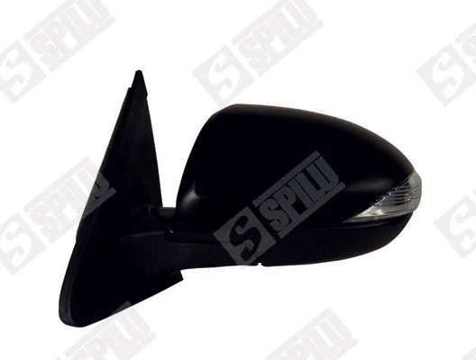 Exterior Mirror (51717)