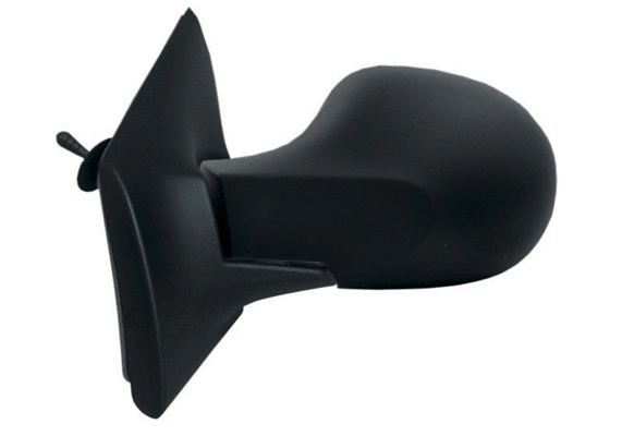 Exterior Mirror (55235)