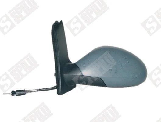 Exterior Mirror (54253)