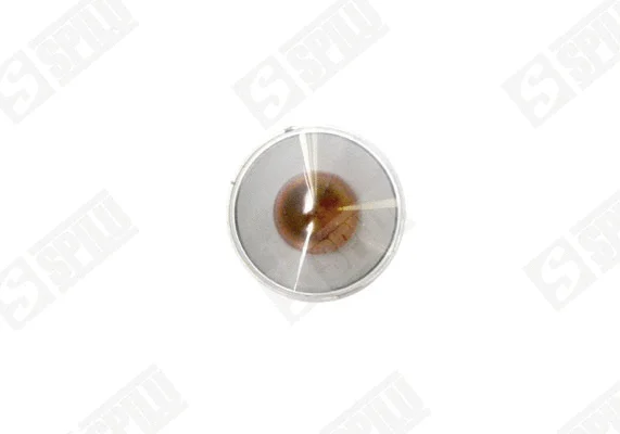 Direction Indicator (508103)