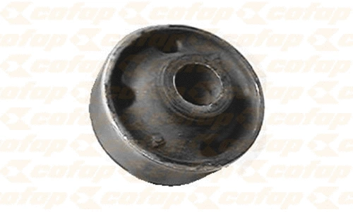 Control/Trailing Arm, wheel suspension (BUC01109)