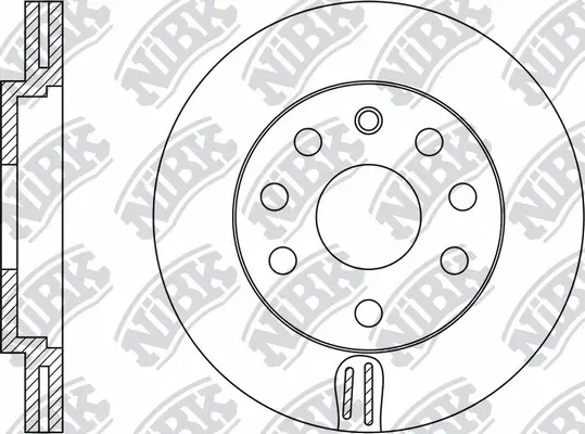 Brake Disc (RN1076)