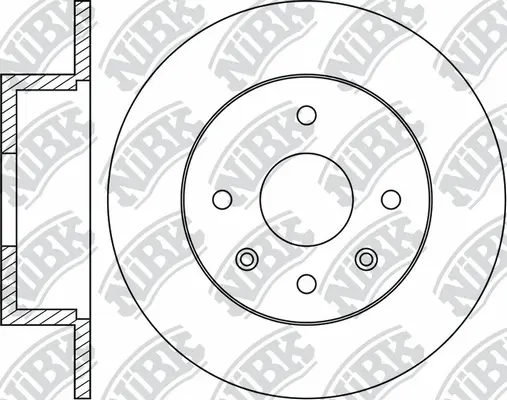 Brake Disc (RN1391)