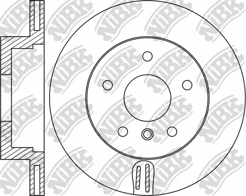 Brake Disc (RN1721)