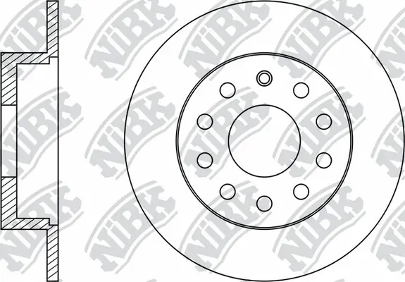 Brake Disc (RN33005)
