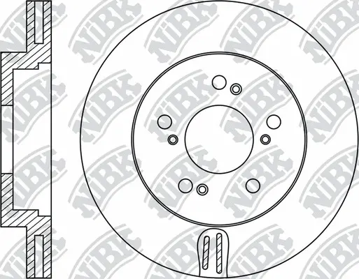 Brake Disc (RN2054)