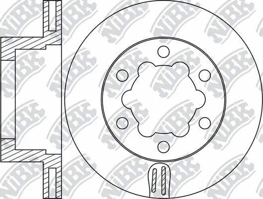 Brake Disc (RN1924)