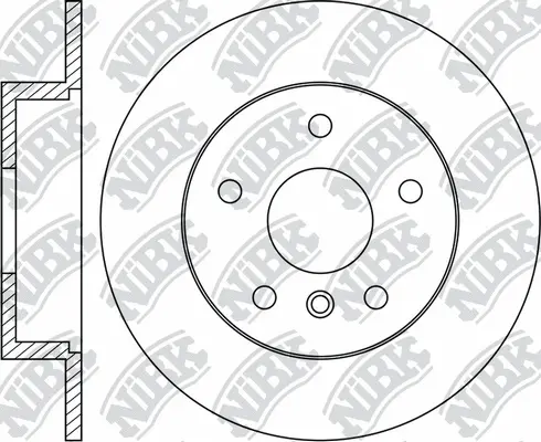 Brake Disc (RN2058)