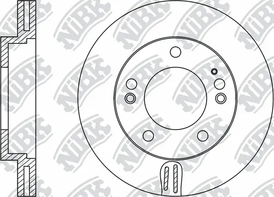 Brake Disc (RN1313)
