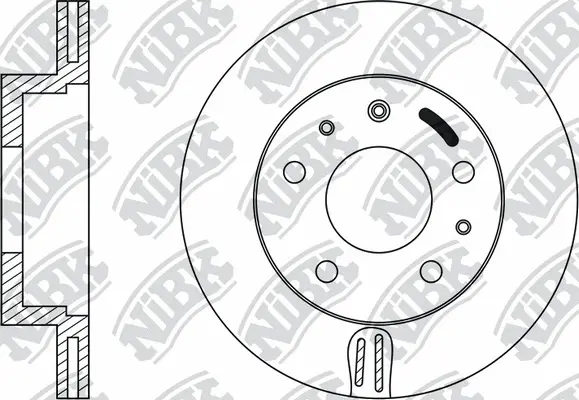 Brake Disc (RN1065)