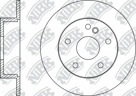 Brake Disc (RN31002)