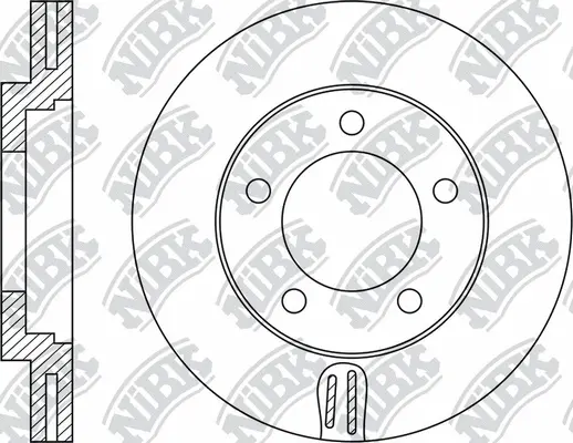 Brake Disc (RN1951)