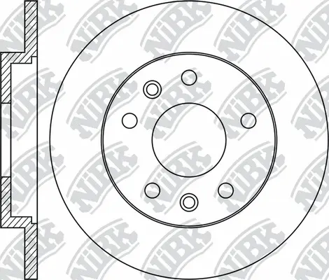 Brake Disc (RN1895)