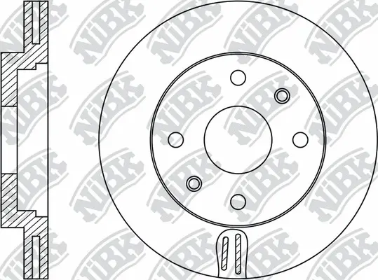 Brake Disc (RN1956)