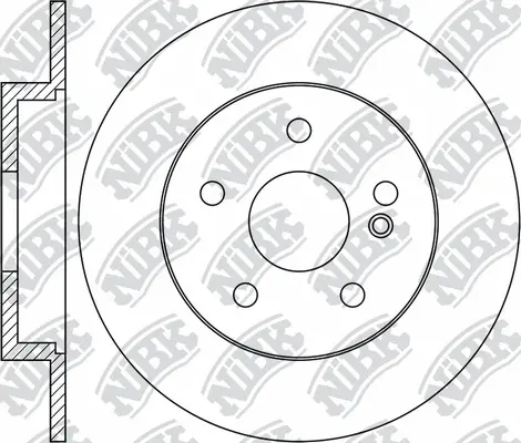 Brake Disc (RN1703)