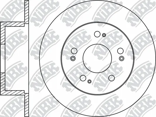 Brake Disc (RN1973)