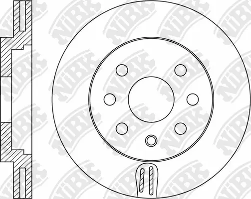Brake Disc (RN1647)