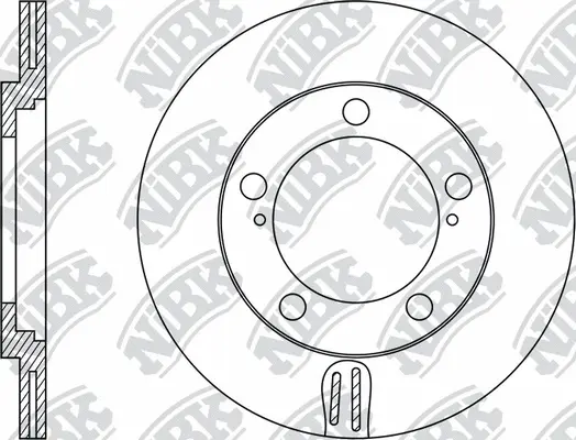 Brake Disc (RN1491)