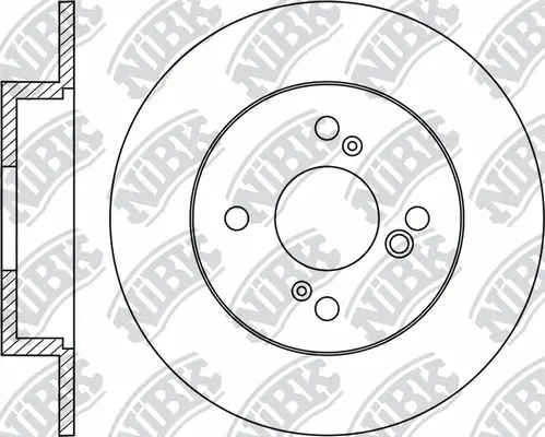 Brake Disc (RN1955)