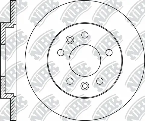 Brake Disc (RN2043)