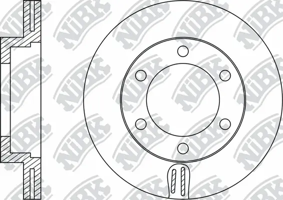 Brake Disc (RN1090)