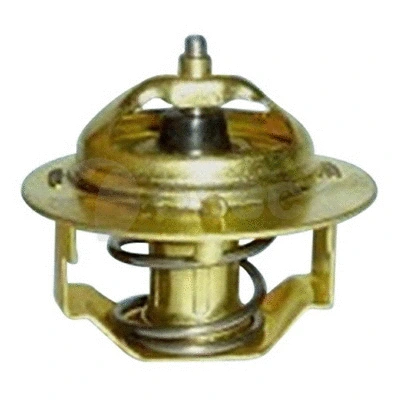 Thermostat, coolant (10567)