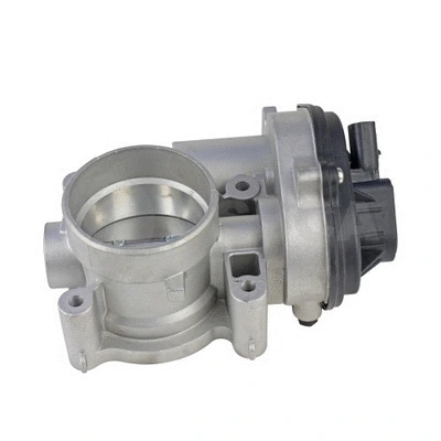 Throttle Body (18450)