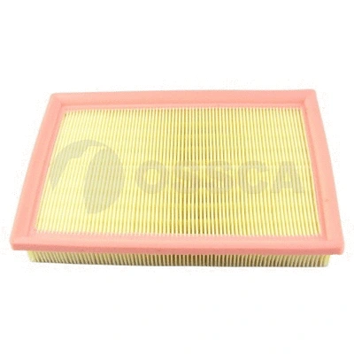 Air Filter (14872)