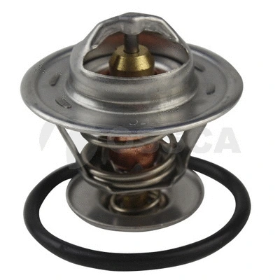 Thermostat, coolant (01284)