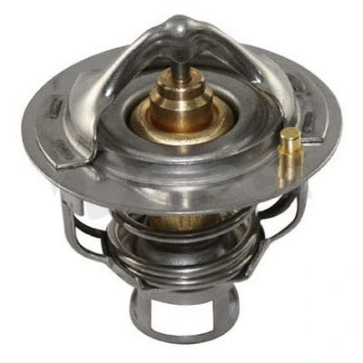 Thermostat, coolant (11004)