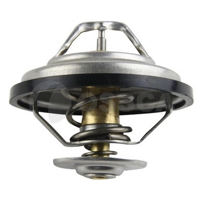 Thermostat, coolant (00008)