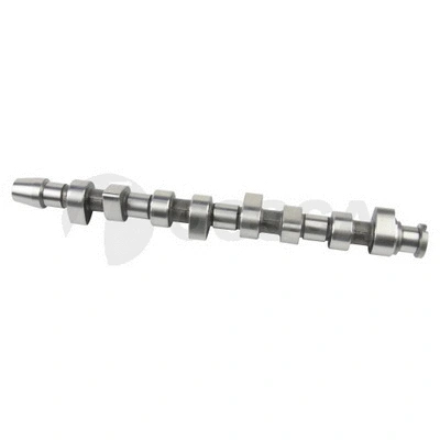 Camshaft (19747)