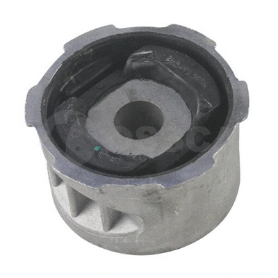 Bushing, axle beam (12989)